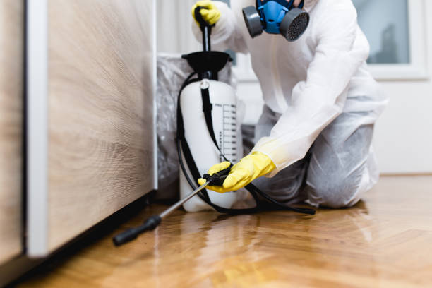 Best Pest Control Near Me  in Overton, TX
