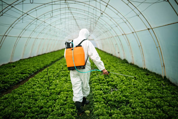 Pest Prevention Services in Overton, TX