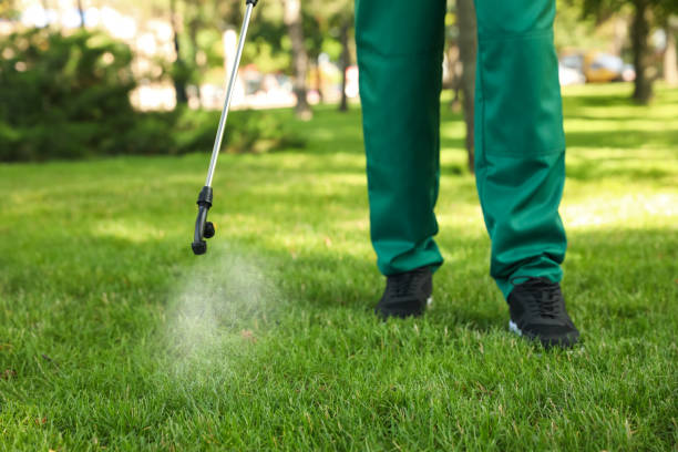 Best Pest Prevention Services  in Overton, TX
