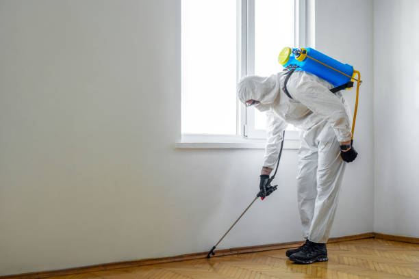 Overton, TX Pest Control Company