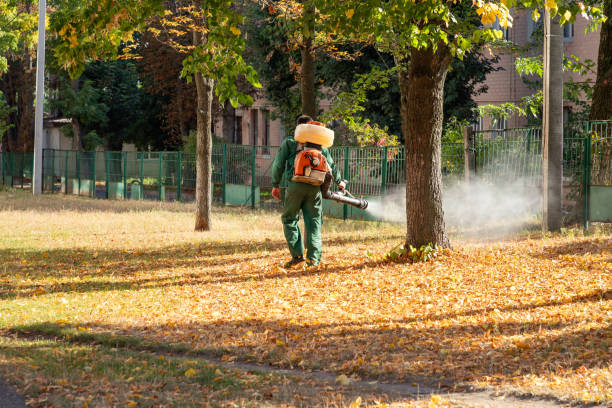 Best Pest Control for Homes  in Overton, TX