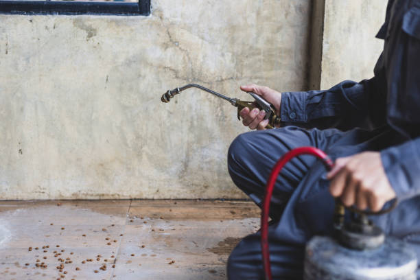 Best Affordable Pest Control Services  in Overton, TX