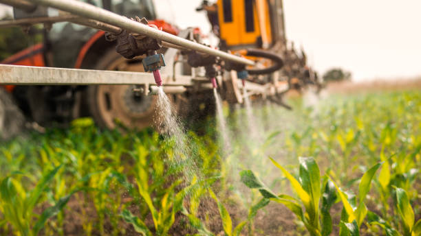 Best Commercial Pest Control Services  in Overton, TX